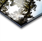 Iowa Barns Acrylic print