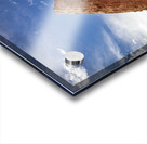 Tilted Rock Acrylic print