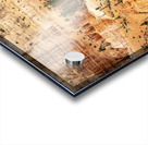 The Pathways of Bryce Acrylic print