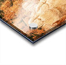 Bryce Canyon National Park Acrylic print