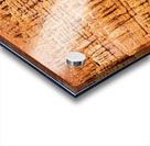 Hoodoo Nation Acrylic print