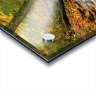 Streams of Michigan Acrylic print