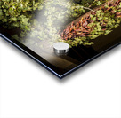 Santa Fe Chili Peppers Acrylic print