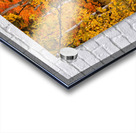 Fall of Colors Acrylic print