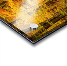 Road to Fall Acrylic print