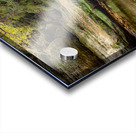 Fall In the Canyon Acrylic print