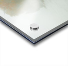 Door County Foggy Morning Acrylic print