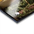 Sante Fe New Mexico Chili Peppers Acrylic print