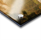 Fall In Door County Wisconsin Acrylic print