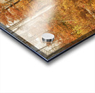 Fall Nature In Door County Wisconsin Acrylic print