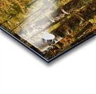 Wisconsin Fall Walk Acrylic print