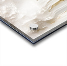 ICE JAIL Acrylic print