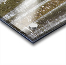 Winter Pine Forest Acrylic print