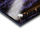 Minnesota Northwoods Winter Camping Acrylic print