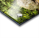 Boulder Car in Nature Acrylic print