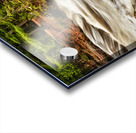 The Mighty Amnicon Rages Acrylic print