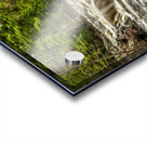 Anicon Falls State Park River Acrylic print