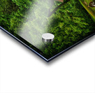 Tennessee Farm Country Acrylic print