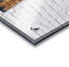 Bryce Canyon National Park Towers Acrylic print