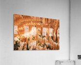 Bryce Canyon Theater Acrylic Print