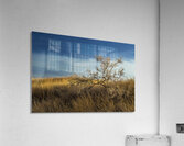 Brush In The Badlands Acrylic Print