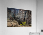 Painted Wall Black Canyon of the Gunnison Acrylic Print
