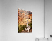 Deadwood Over Bryce Acrylic Print