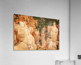 Bryce Canyon National Park Acrylic Print