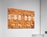 Hoodoo Nation Acrylic Print