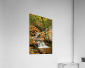 Streams of Michigan Acrylic Print