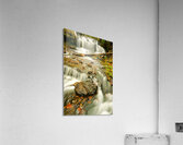 Splendors of Fall Acrylic Print