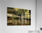 Fall In the Canyon Acrylic Print