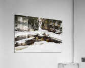 Winter Canyon on River Acrylic Print