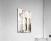 ICE JAIL Acrylic Print