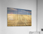 South Dakota Farm Country Acrylic Print