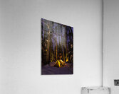 Minnesota Northwoods Winter Camping Acrylic Print