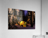 Winter Camping Under the Stars in Minnesota Acrylic Print