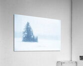 Snowy Frozen Minnesota Island Acrylic Print