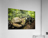 Boulder Car in Nature Acrylic Print