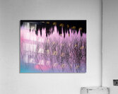 A Weedy Lake Abstract Acrylic Print