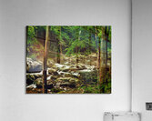 Smoky Mountain Stream Tennessee Acrylic Print