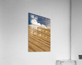 Zion Skies Acrylic Print