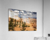 Bryce Canyon National Park Vista Acrylic Print
