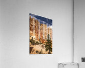 Bryce Canyon National Park Castle Window Acrylic Print