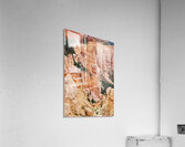 Bryce Canyon National Park Canyon Acrylic Print