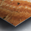 Bryce Canyon Theater Metal print