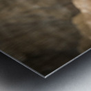 Bighorn Sheep of Badlands Metal print