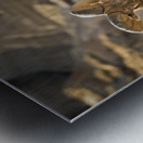 Badlands Bighorn Sheep Metal print