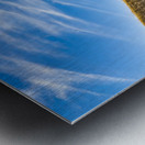 Slanted Tree Metal print