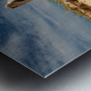 Driftwood ON the Beach Metal print